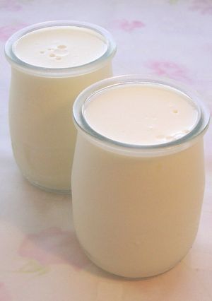 健康ダイエット♪ヨーグルトプリン-レシピのメイン写真