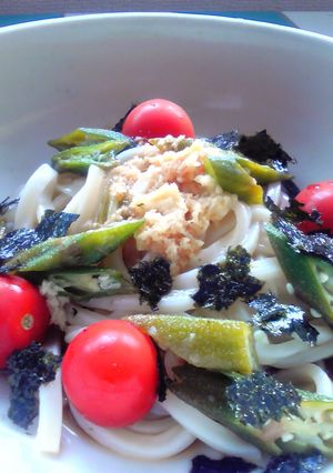 ステキ女子の冷凍うどんとオクラとトマト-レシピのメイン写真