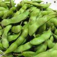 美味しい枝豆の茹で方