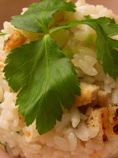きつねごはん~おあげが美味しい♪~-レシピのメイン写真