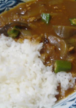 夏野菜のカレー-レシピのメイン写真