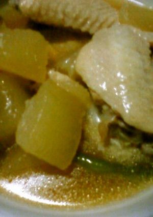★ほろほろ手羽と冬瓜のオイスターソース煮-レシピのメイン写真