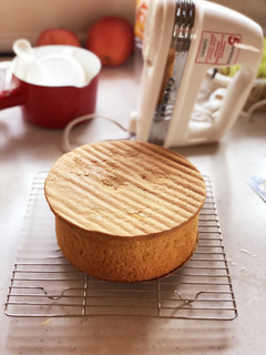 ふんわりしっとりスポンジケーキ-レシピのメイン写真