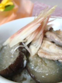 夏のなす丼-レシピのメイン写真