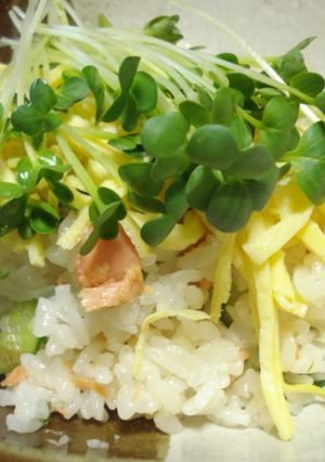 焼さけとキュウリのチラシ寿司-レシピのメイン写真