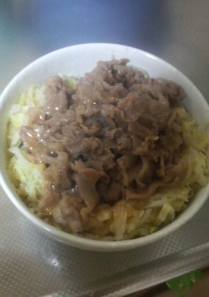 おいしいよ!味噌豚丼-レシピのメイン写真