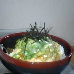 浅漬けの素でネバネバ丼-レシピのメイン写真