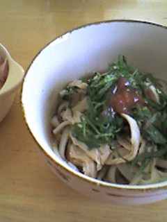 夏にサッパリ♪ヒンヤリ♪ぶっかけうどん-レシピのメイン写真