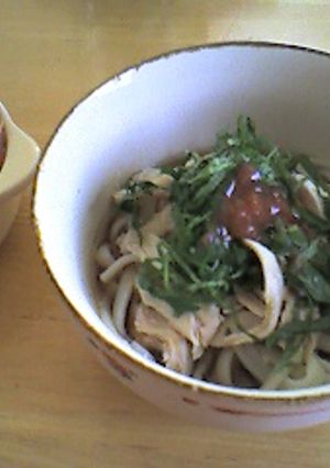 夏にサッパリ♪ヒンヤリ♪ぶっかけうどん-レシピのメイン写真