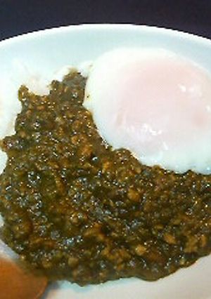 ほうれん草のカレー-レシピのメイン写真