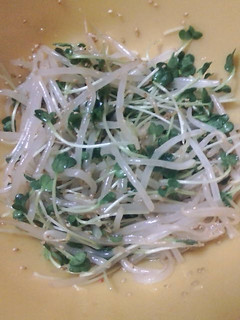 調味料は3つだけ!簡単もやしナムル★-レシピのメイン写真