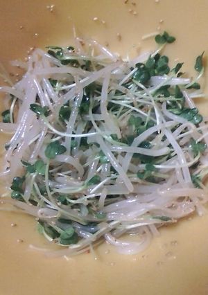 調味料は３つだけ！簡単もやしナムル★-レシピのメイン写真