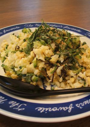 ゴーヤ炒飯－塩昆布入り－-レシピのメイン写真