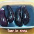 茄子の早漬け