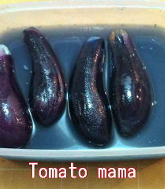 茄子の早漬け-レシピのメイン写真