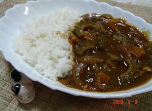 市販のルーで☆夏にはゴーヤカレー♬-レシピのメイン写真