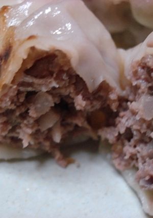 ビーフ餃子-レシピのメイン写真