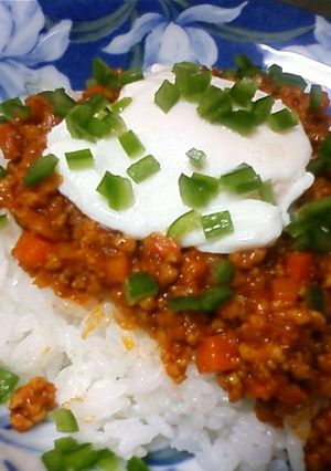オトナのドライカレー-レシピのメイン写真