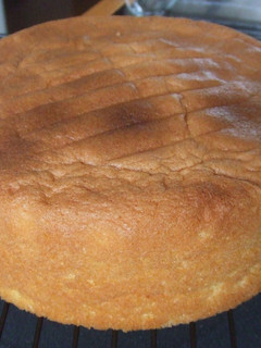 基本のスポンジケーキ☆ジェノワーズ-レシピのメイン写真