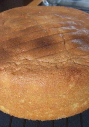 基本のスポンジケーキ☆ジェノワーズ-レシピのメイン写真