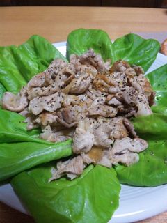 豚肉のさっぱり炒め-レシピのメイン写真