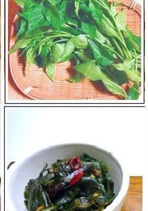 激辛☆葉唐辛子味噌✿...☜この味噌食べたら病みつきよ！-レシピのメイン写真