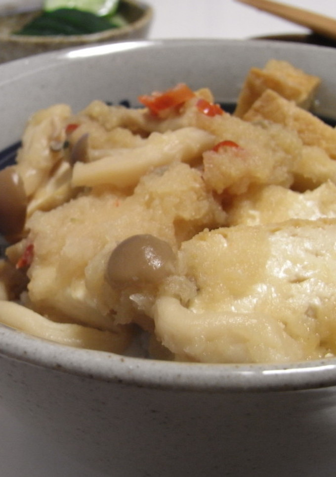おろし厚揚げ丼-レシピのメイン写真