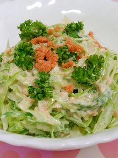 キャベツの鮭クリームサラダ-レシピのメイン写真