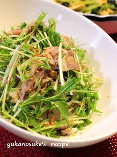 豚しゃぶと水菜のサラダ-レシピのメイン写真