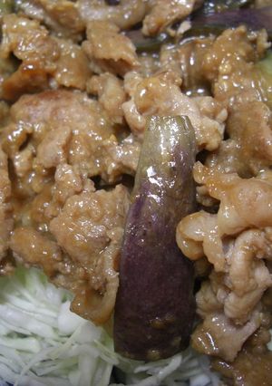 ☆ナスと豚肉の味噌炒め☆-レシピのメイン写真