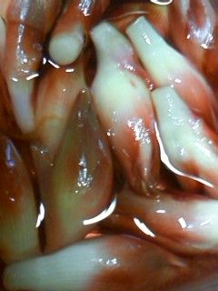 夏の常備菜みょうがの甘酢-レシピのメイン写真