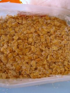 湯たんぽで手作り納豆-レシピのメイン写真