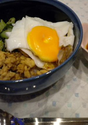 あっさりしたスタミナ丼-レシピのメイン写真