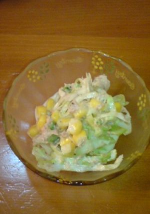 私も大丈夫✿ゴーヤサラダ-レシピのメイン写真
