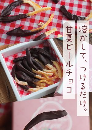 国産ドライフルーツでオレンジピールチョコ-レシピのメイン写真