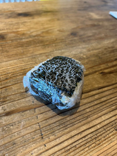 楽技!養生おにぎり-レシピのメイン写真