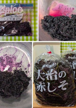 ♡赤紫蘇作り♪-レシピのメイン写真