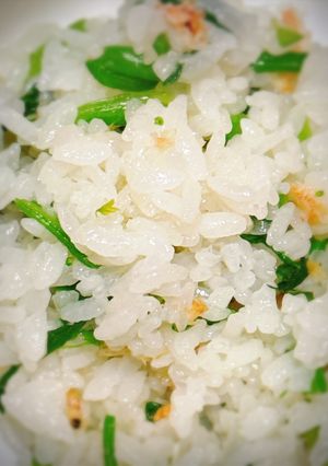 春！菜の花と桜エビの炊き込みご飯だぜ！-レシピのメイン写真
