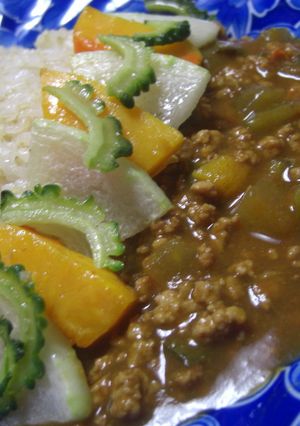 瓜さんカレー-レシピのメイン写真
