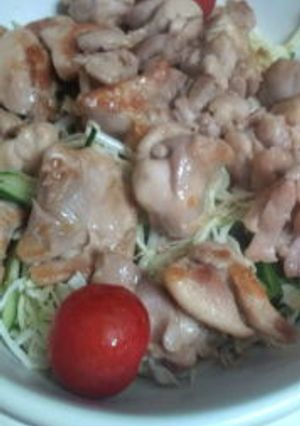 夏バテにさっぱりがっつり鶏サラダ-レシピのメイン写真