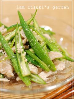 オクラと蒸し鶏のサラダ-レシピのメイン写真