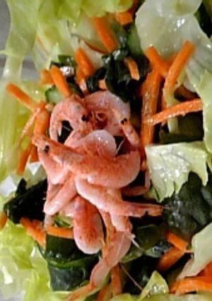 きゅうりとわかめのヘルシーサラダ✿-レシピのメイン写真
