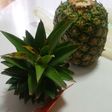 パイナップルの葉、簡単に手で取れるよ!