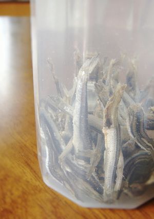 煮干しだし-レシピのメイン写真