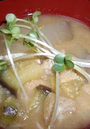 冬瓜と茄子のお味噌汁-レシピのメイン写真
