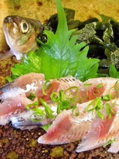 海鮮!いわしの刺身-レシピのメイン写真