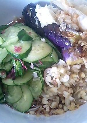 夏野菜そうめん-レシピのメイン写真