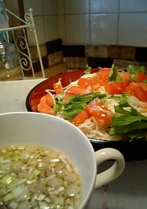 サラダそうめん-レシピのメイン写真