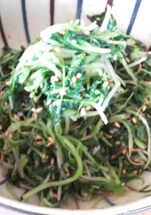 つまみ菜(まびき菜)のナムル-レシピのメイン写真