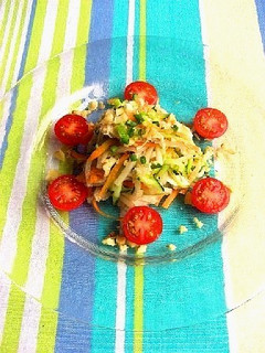 ソムタム風チキンサラダ-レシピのメイン写真